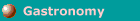 Gastronomia